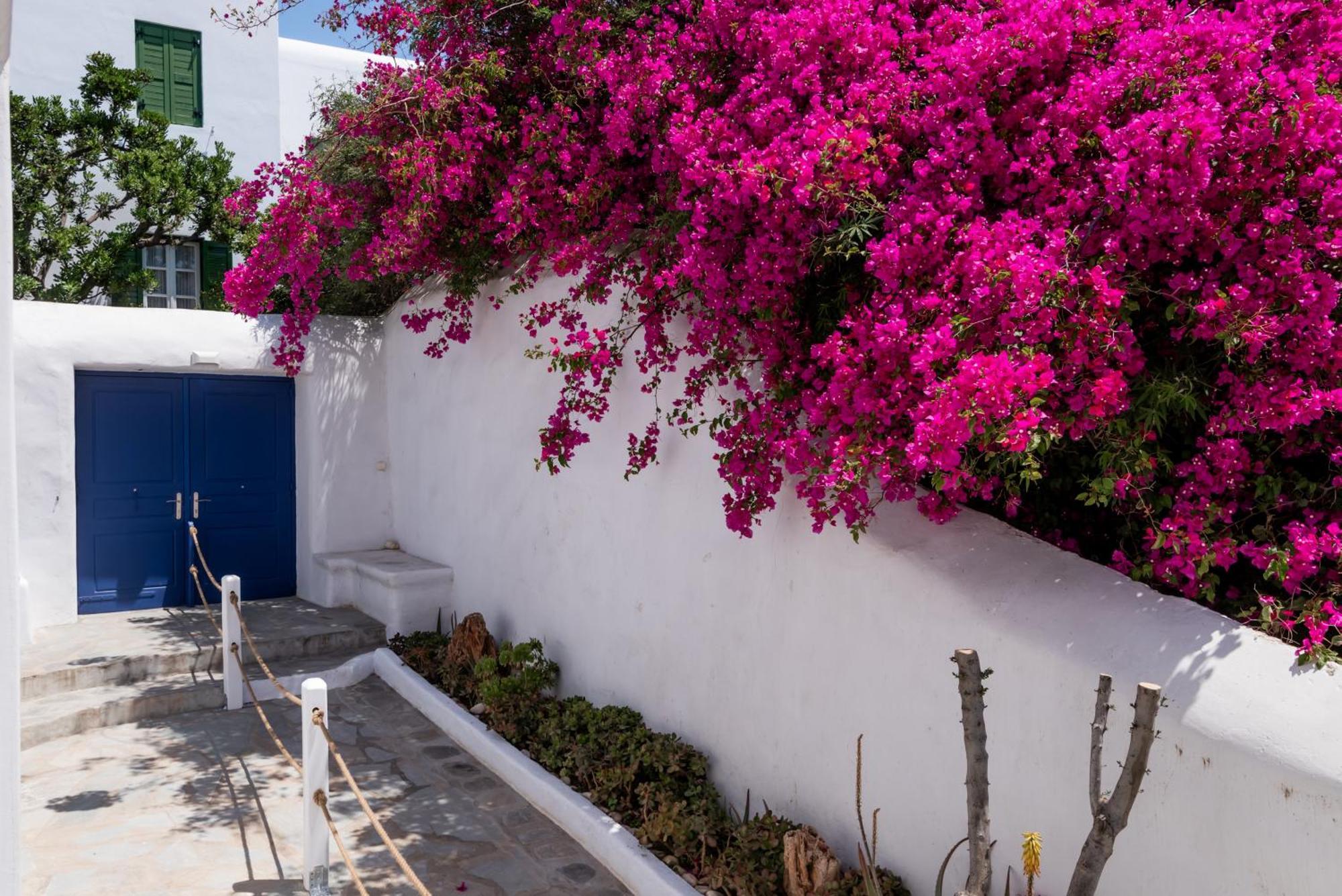 Olive Tree Mykonos Town Semi-Basement Apartment Εξωτερικό φωτογραφία